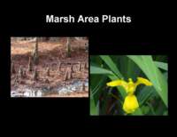 slide16_small.jpg