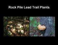 slide22_small.jpg