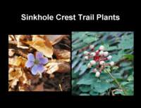 slide24_small.jpg