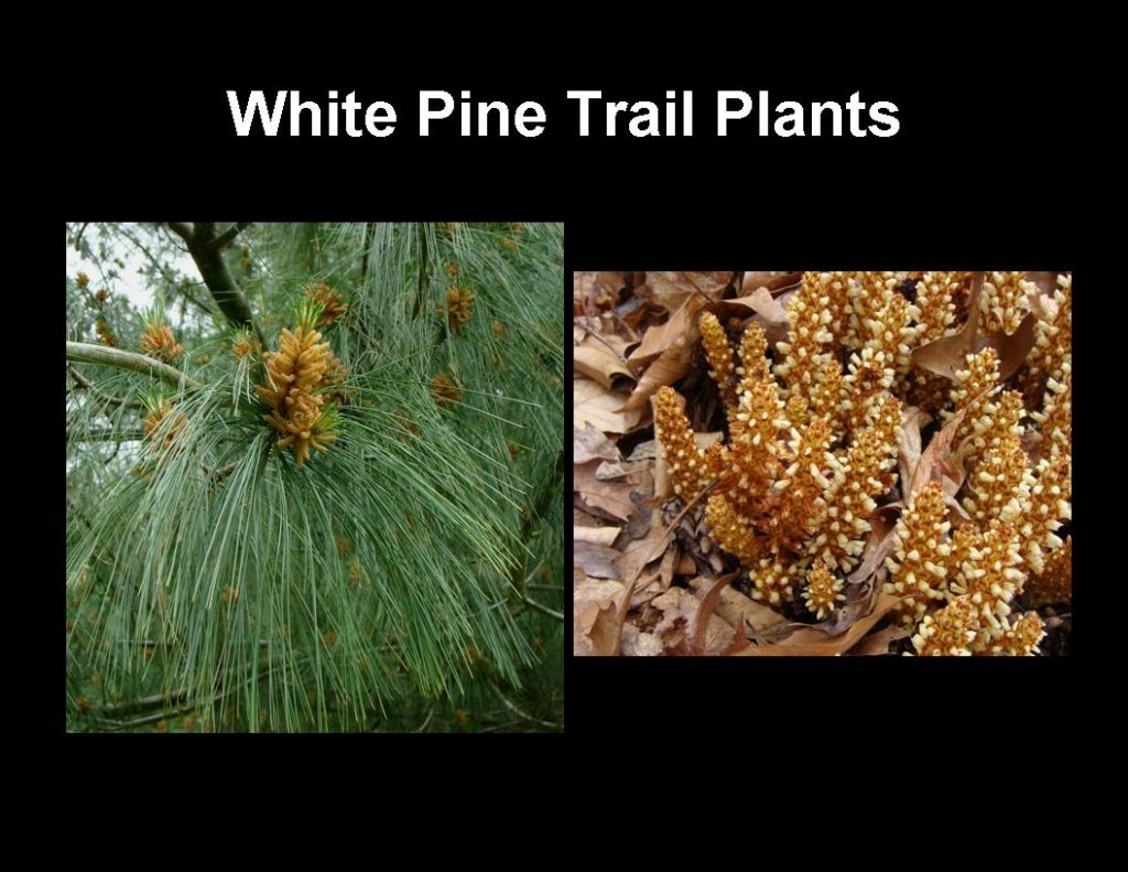 slide28.jpg