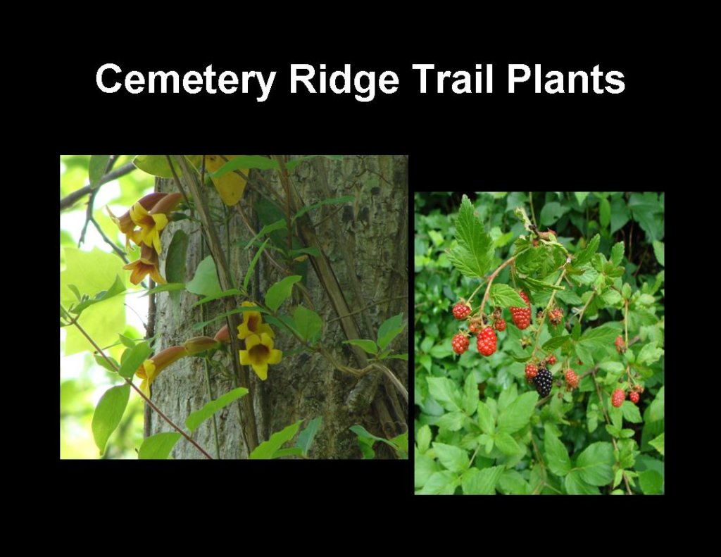 slide6.jpg