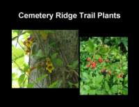 slide6_small.jpg