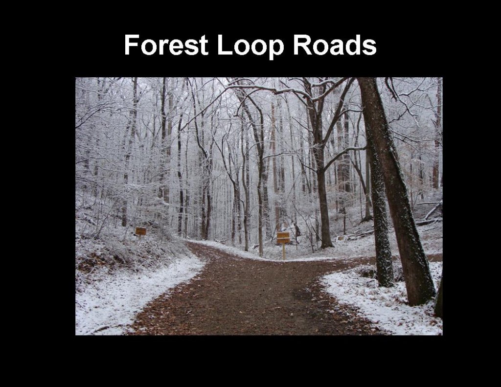 slide9.jpg