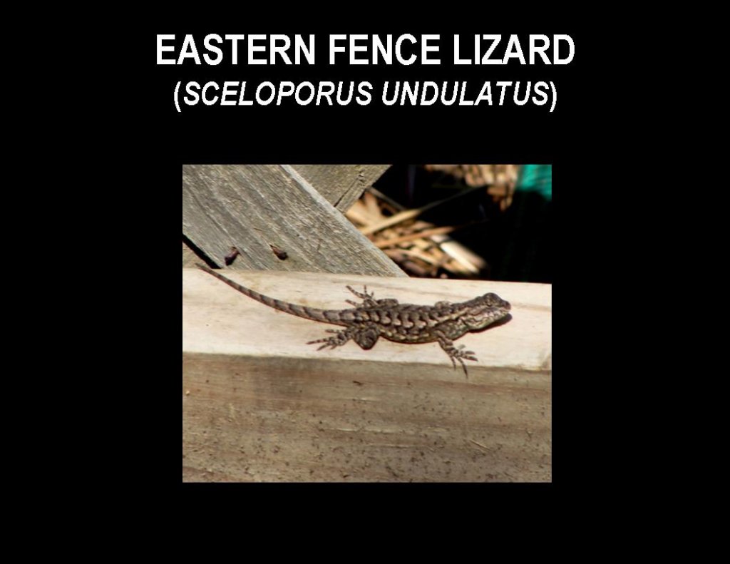 slide16.jpg