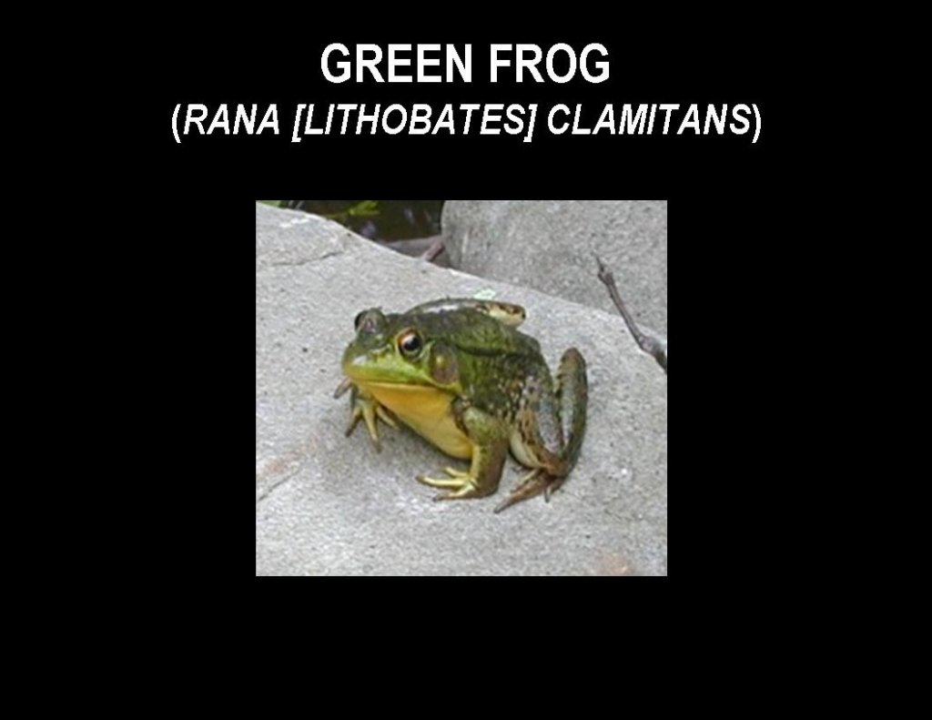 slide23.jpg