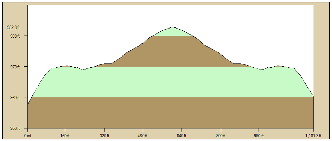 Tulip Poplar Profile