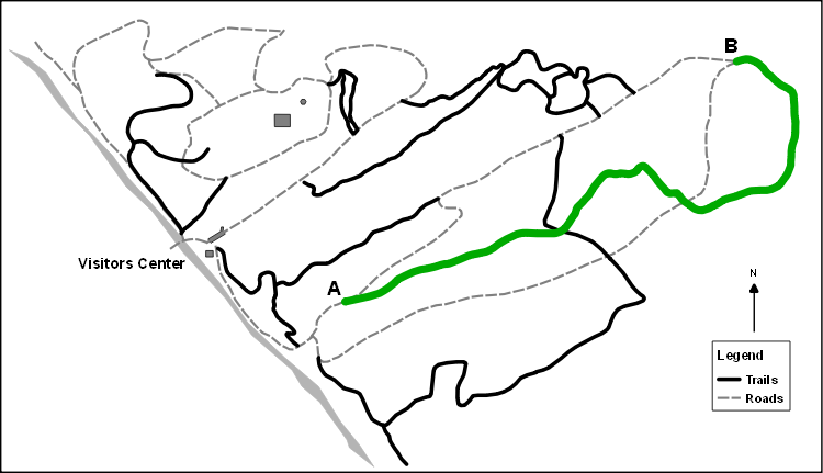 Backwoods Trail