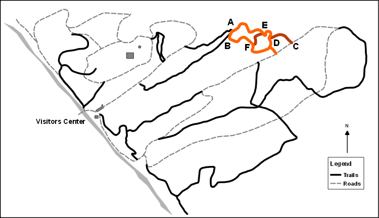 Lost Chestnut Trail