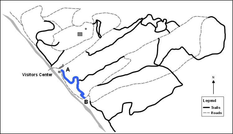 White Pine Trail