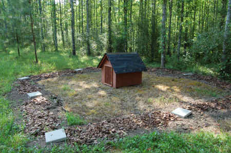 Original Ant House Plot
