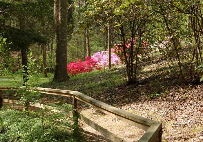 Arboretum Trail
