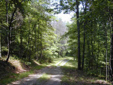 Loop Road
