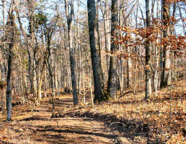 Cemetery Ridge Trail