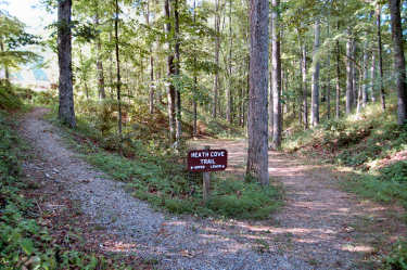 The Heath Cove Trail