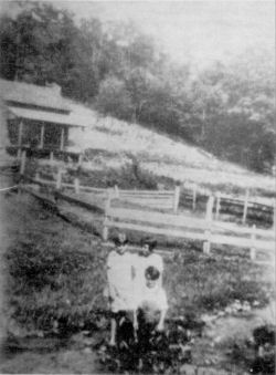 Old Homestead