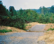 Stream Crossing