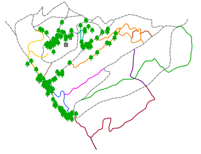 UT Arboretum Interactive Urban Trees Map