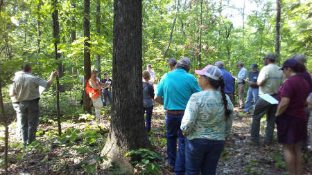 Dr. David Mercker leads Healthy Hardwoods field tour.