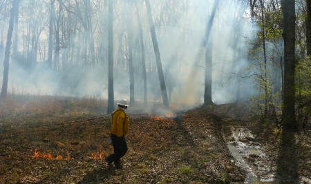 Highland Rim Forest Control Burn