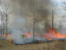 Highland Rim Forest Control Burn