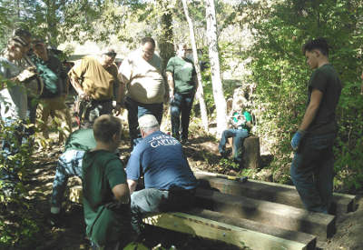 Morgan Buckley Scout Project