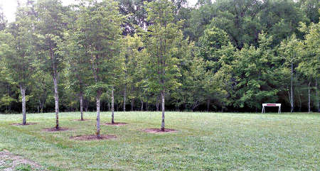 Auditorium Parking Lot Area Before Expansion 