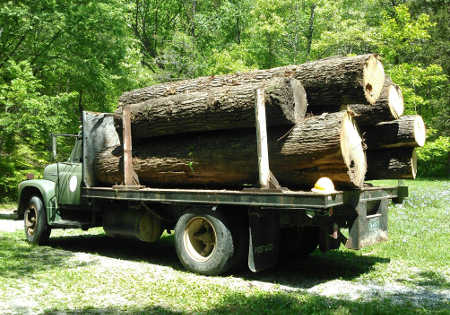 Hauling the 'Big Logs'