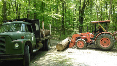 Loading the 'Big Logs'