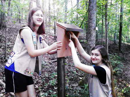Girl Scouts Replace Information Boxes