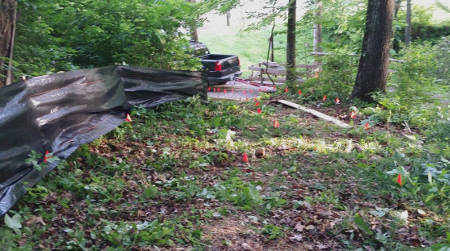 Scout Troop Members Working On Bridge