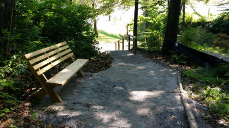Finished Bridge by Troop 451