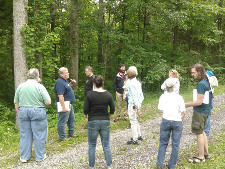 Tree ID Workshop by UT Forestry, Wildlife, and Fisheries