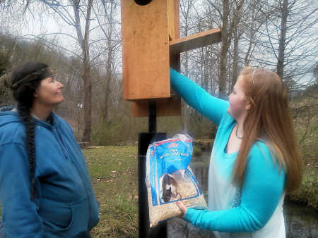 Wood Duck Box Installation
