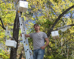 Researchers check pest traps