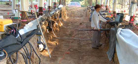 Joanne Childs Recording Measurements in the PiTS Research Project