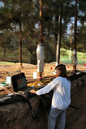 Joanne Childs Recording Measurements in the PiTS Research Project