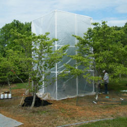 PiTS Researchers Prepare Shading for Dogwood Project