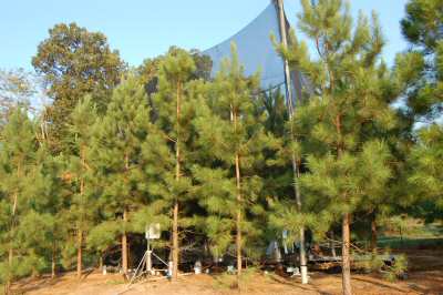 PiTS Research Project Site