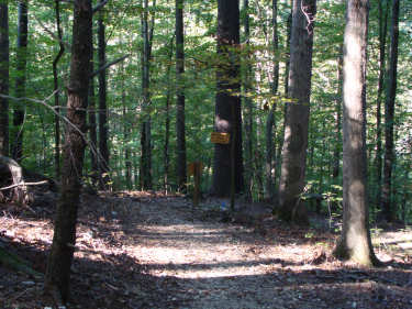Rock Pile Lead Trail
