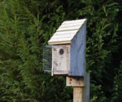 Bluebird House